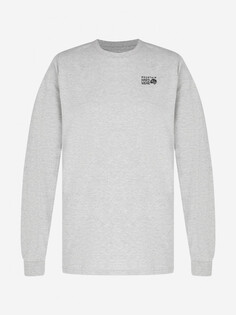 Лонгслив мужской Mountain Hardwear Back Logo, Серый