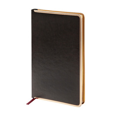 BRUNO VISCONTI Ежедневник недатированный А5 "CHELSEA"