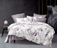 Постельное белье 2-спальное с Евро простыней Afina