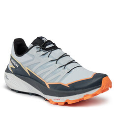 Кроссовки Salomon Thundercross, синий