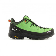 Мультиспортивная обувь Salewa Alp Trainer 2 GTX, цвет Pale Frog/Black
