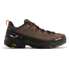 Мультиспортивная обувь Salewa Alp Trainer 2 GTX, цвет Bungee Cord/Black
