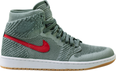 Кроссовки Air Jordan 1 High Flyknit Clay Green, зеленый