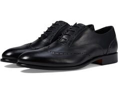 Оксфорды Massimo Matteo Corazzano Wing Tip, черный