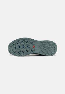 Кроссовки ULTRA FLOW GTX Salomon, черный