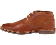 Ботинки Hestonn - Extended Sizes Steve Madden, коричневый