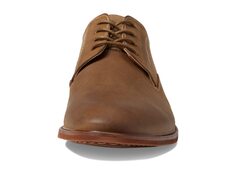 Оксфорды Steve Madden Kacion