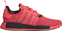 Кроссовки Adidas NMD_R1 Knit Signal Pink, розовый