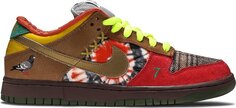 Лимитированные кроссовки Nike Dunk Low SB What The Dunk, мультикорол