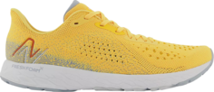 Кроссовки New Balance Fresh Foam Tempo v2 Apricot, желтый