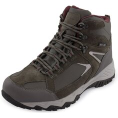 Ботинки Alpine Pro Romoos Hiking, серый