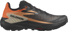 Кроссовки Genesis Dragon Fire, черный Salomon