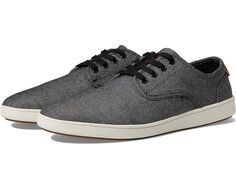 Кроссовки Steve Madden Fenta, черный