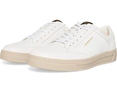 Кроссовки Steve Madden Nyan, цвет White/White
