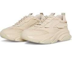 Кроссовки Steve Madden Possess, цвет Greige
