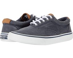 Кроссовки Sperry Striper II CVO Canvas, цвет SW Navy