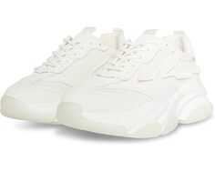 Кроссовки Steve Madden Possess, белый