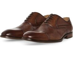 Оксфорды Steve Madden Proctr, цвет Tan Leather