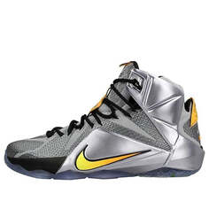 Кроссовки леброн 12 Nike, серый