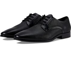 Оксфорды ALDO Brendan, цвет Other Black