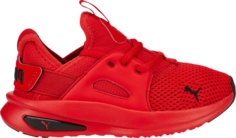 Кроссовки Puma Softride Enzo Evo Little Kid High Risk Red, красный