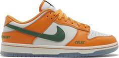 Кроссовки Nike Florida A&M University x Dunk Low Rattlers, оранжевый