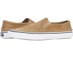 Кроссовки Sperry Striper II Twin Gore Perf Suede, цвет Taupe