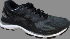 Кроссовки wmns gel nimbus 19 black onyx Asics, черный
