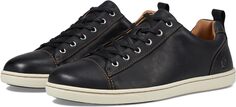 Кроссовки Allegheny Born, цвет Black Full Grian Leather