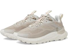 Кроссовки Timberland Motion Access Low Lace Up, цвет Light Taupe Knit W White