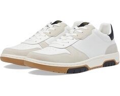 Кроссовки Steve Madden Maxtonn, цвет White Ecru