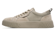 Кроссовки Dickies Skateboarding Shoes Men Low-top, серый
