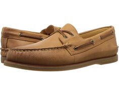 Лодочные туфли Gold Cup A/O 2-Eye Sperry, тан