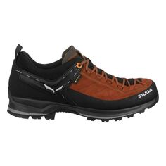 Легкие походные кроссовки "MTN Trainer 2 GTX" Salewa, черный
