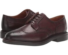 Оксфорды Polo Ralph Lauren Asher Wing Tip, цвет Polo Brown Calf Leather