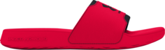 Кроссовки Ignite Select Slide Red Black, красный Under Armour