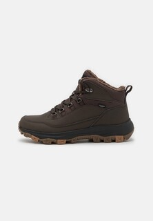 Кроссовки Everquest Texapore Mid Jack Wolfskin, цвет cold coffee