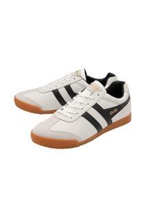 Кожаные кроссовки на шнуровке Harrier Leather Gola, белый