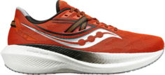 Кроссовки Saucony Triumph 20 Lava Fossil, красный