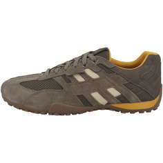 Низкие кроссовки Geox low U Snake A, серый