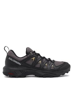 Кроссовки X Braze GORE-TEX Salomon, серый