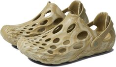 Кроссовки Hydro Moc Merrell, цвет Herb