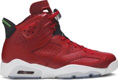 Кроссовки Air Jordan 6 Spizike History of Jordan, красный