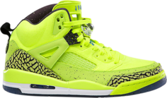 Кроссовки Spizike BHM, зеленый Jordan