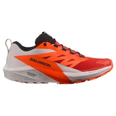 Кроссовки Salomon Sense Ride 5 Trail, оранжевый