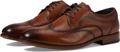 Оксфорды Brayden Wing Tip Lace-Up Stacy Adams, цвет Tan