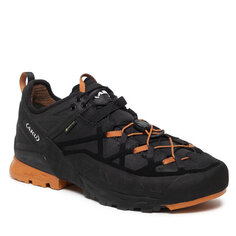 Кроссовки Aku RockDfs Gtx, черный