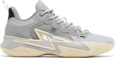 Кроссовки Wade Son of Flash Grey Boy, серый Li Ning