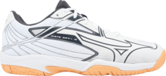 Кроссовки Gate Sky Plus 4 Wide White Black Oyster, белый Mizuno