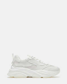 Кроссовки Possess Steve Madden, белый